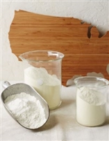 Conociendo el Portafolio de Ingredientes Lácteos de EE.UU.